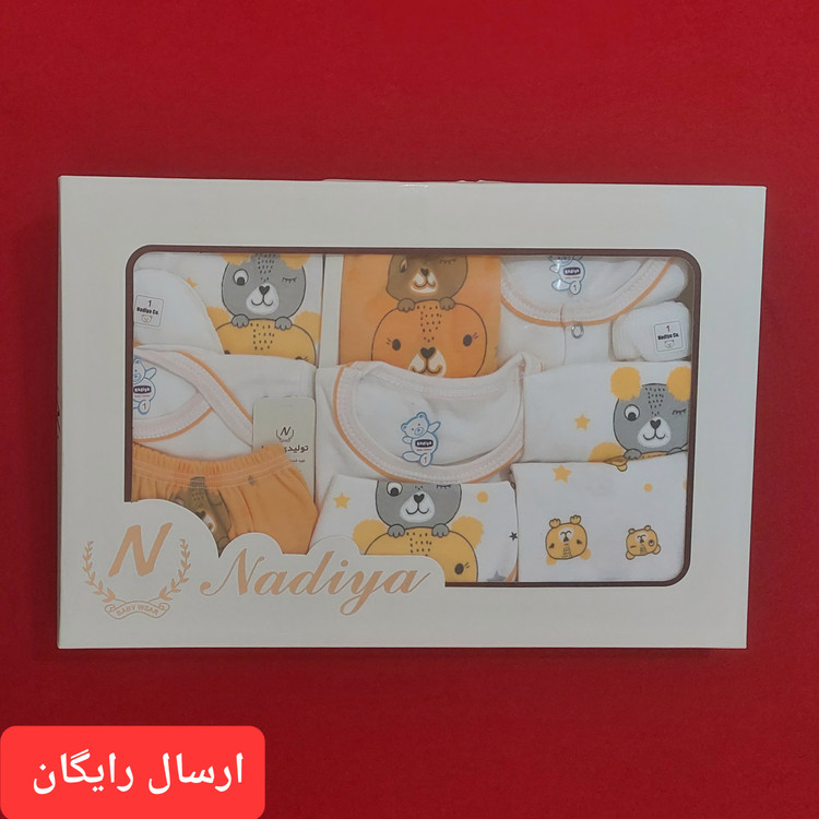 ست 19 تکه نوزادی مناسب بدو تولد و بیمارستان طرح دو خرس بامزه ( با ارسال رایگان به سراسرکشور )